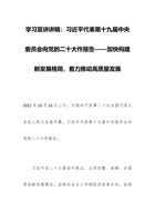 学习宣讲讲稿：习近平代表第十九届中央委员会向党的二十大作报告——加快构建新发展格局，着力推动高质量发展 封面