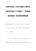 党课学习讲稿：习近平代表第十九届中央委员会向党的二十大作报告——加快构建新发展格局，着力推动高质量发展 封面