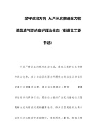 坚守政治方向  从严从实推进全力营造风清气正的良好政治生态（街道党工委书记） 封面