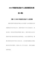 2023年组织生活会个人发言稿范文(精选4篇) 封面