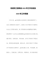 街道党工委商会202X年工作总结及202X年工作思路 封面