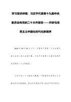 学习宣讲讲稿：习近平代表第十九届中央委员会向党的二十大作报告——开辟马克思主义中国化时代化新境界 封面