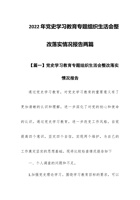 202x年党史学习教育专题组织生活会整改落实情况报告两篇 封面