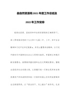 县自然资源局202x年度工作总结及202x年工作安排 封面