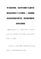 学习宣讲讲稿：习近平代表第十九届中央委员会向党的二十大作报告——推进国家安全体系和能力现代化，坚决维护国家安全和社会稳定 封面