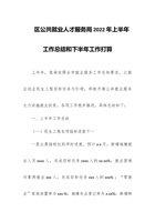 区公共就业人才服务局202x年上半年工作总结和下半年工作打算 封面