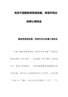 党员干部解放思想谋发展、转变作风办实事心得体会 封面