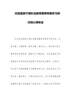 纪检监察干部队伍教育整顿专题学习研讨班心得体会 封面