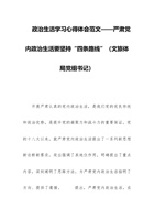 政治生活学习心得体会范文——严肃党内政治生活要坚持“四条路线”（文旅体局党组书记） 封面