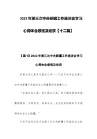 2022年第三次中央新疆工作座谈会学习心得体会感悟及收获【十二篇】 封面