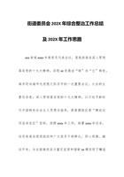 街道委员会202X年综合整治工作总结及202X年工作思路 封面