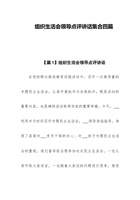 2023组织生活会领导点评讲话集合四篇 封面