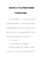 区统计局202x年上半年度工作总结及下半年度工作安排 封面