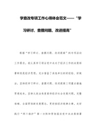 学查改专项工作心得体会范文——“学习研讨、查摆问题、改进提高” 封面