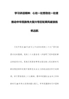 学习讲话精神：心往一处想劲往一处使推动中华民族伟大复兴号巨轮乘风破浪扬帆远航 封面