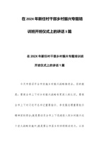 在202X年新任村干部乡村振兴专题培训班开班仪式上的讲话3篇 封面