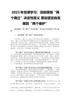 2023年党课学习：深刻领悟“两个确立”决定性意义 更加坚定自觉做到“两个维护” 封面