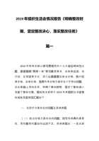 组织生活会情况报告《明确整改时限-坚定整改决心-落实整改任务》  封面