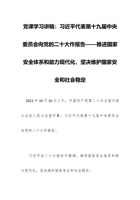 党课学习讲稿：习近平代表第十九届中央委员会向党的二十大作报告——推进国家安全体系和能力现代化，坚决维护国家安全和社会稳定 封面