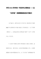 学习202x年中央一号文件心得体会——以“长牙齿”的硬措施促进乡村振兴 封面