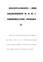 政治生活学习心得体会范文——提高政治站位抓好贯彻落实将“稳、准、狠”工作基调贯穿整治工作始终（农牧局党组书记） 封面