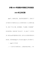 乡镇202X年宜居乡村建设工作总结及202X年工作打算 封面