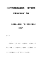 2023年党风廉政主题党课：“坚守信仰清正廉洁对党忠诚”合编 封面