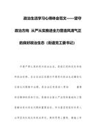 政治生活学习心得体会范文——坚守政治方向  从严从实推进全力营造风清气正的良好政治生态（街道党工委书记） 封面