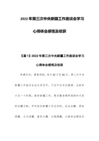 202x年第三次中央新疆工作座谈会学习心得体会感悟及收获 封面