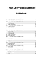 202x年党史学习教育专题组织生活会整改落实情况报告十二篇 封面