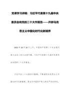 党课学习讲稿：习近平代表第十九届中央委员会向党的二十大作报告——开辟马克思主义中国化时代化新境界 封面