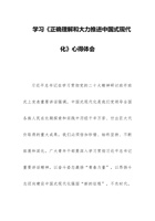 2023年学习《正确理解和大力推进中国式现代化》心得体会 封面