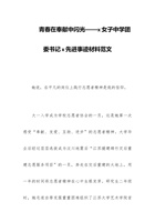 青春在奉献中闪光——x女子中学团委书记x先进事迹材料范文 封面