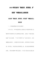 2023年在全市“稳经济、抓项目、扩投资”专题会议上的发言 封面