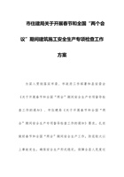 市住建局关于开展春节和全国“两个会议”期间建筑施工安全生产专项检查工作方案 封面