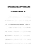 发挥党支部战斗堡垒作用和党员先锋模范作用专题党课讲稿二篇 封面