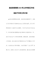 县应急管理局202x年上半年度工作总结及下半年工作计划 封面