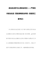 政治生活学习心得体会范文——严肃党内政治生活  营造清明政治环境（街道党工委书记） 封面